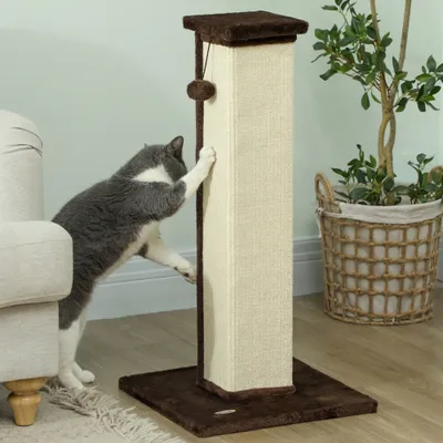 PawHut Kratzbaum PawHut Kratzbaum