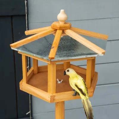 PawHut Vogelständer
