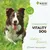 4-BEINER VITALITY-DOG 4-BEINER VITALITY-DOG