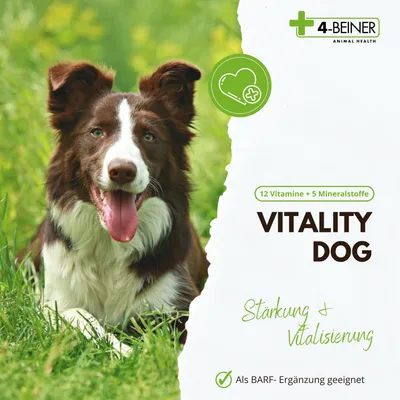 4-BEINER VITALITY-DOG 4-BEINER VITALITY-DOG