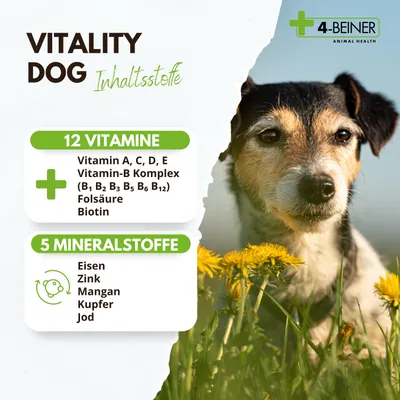 4-BEINER VITALITY-DOG 4-BEINER VITALITY-DOG