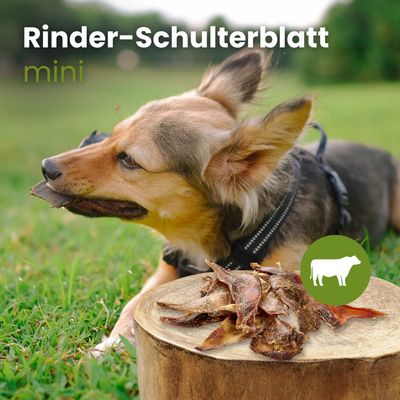 Kauartikel.com Rinder-Schulterblatt Mini