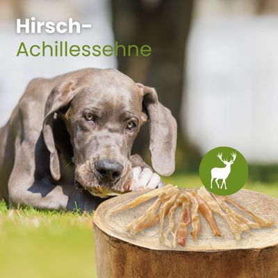 Kauartikel.com Hirsch-Achillessehne