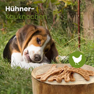 Kauartikel Hühner-Kauknochen Kauartikel Hühner-Kauknochen