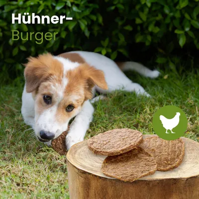 Kauartikel Hühner-Burger Kauartikel Hühner-Burger