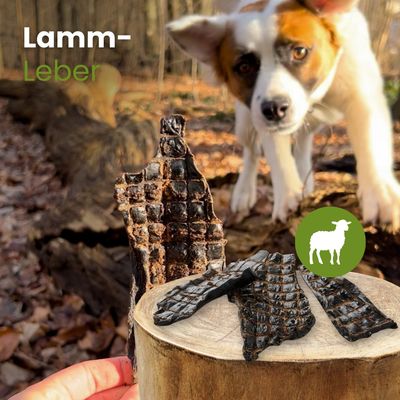 Kauartikel.com Lamm-Leber