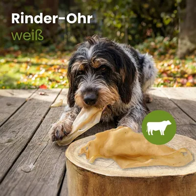 Kauartikel Rinder-Ohr, hell - (ehemals Rinder-Ohr, weiß) Kauartikel Rinder-Ohr, hell - (ehemals Rinder-Ohr, weiß)