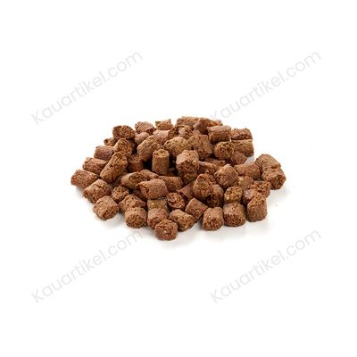 Kauartikel.com Insekten Snack