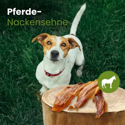 Kauartikel.com Pferde-Nackensehne