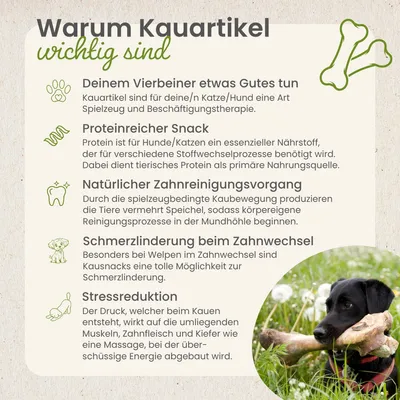 Kauartikel.com Rinder-Fleischstreifen