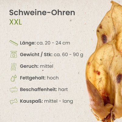 Kauartikel.com Schweine-Ohren XXL