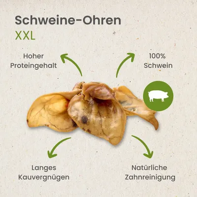Kauartikel.com Schweine-Ohren XXL