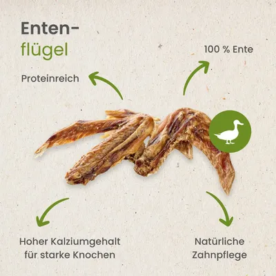 Kauartikel.com Enten-Flügel