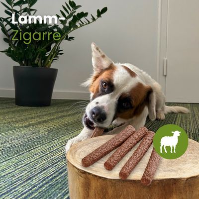 Kauartikel.com Lamm-Zigarre