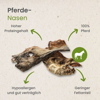 Kauartikel.com Pferde-Nasen