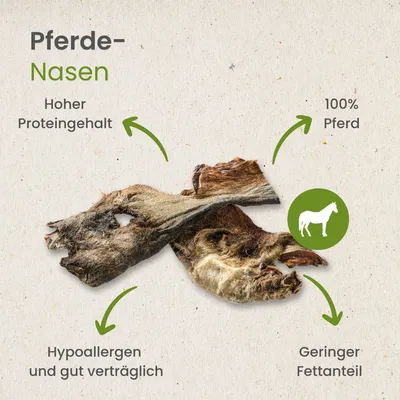 Kauartikel.com Pferde-Nasen