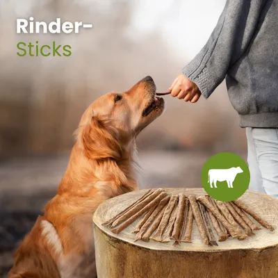Kauartikel.com Rinder-Sticks