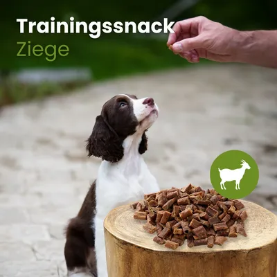 Kauartikel.com Ziegen-Sticks-Trainingssnack