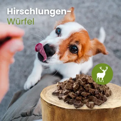 Kauartikel.com Hirsch-Lungen-Würfel
