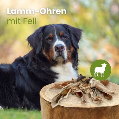 Kauartikel.com Lamm-Ohren mit Fell