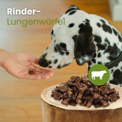 Kauartikel.com Rinder-Lungenwürfel
