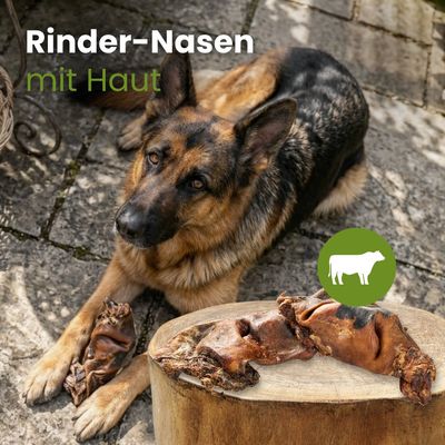 Kauartikel.com Rinder-Nasen mit Haut