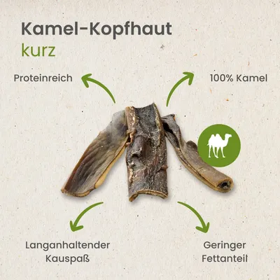 Kauartikel.com Kamel-Kopfhaut,kurz