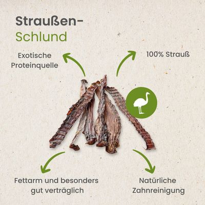 Kauartikel.com Straußen-Schlund