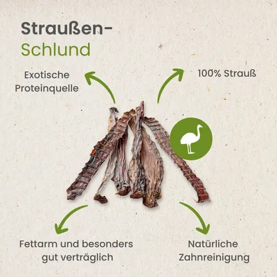 Kauartikel.com Straußen-Schlund