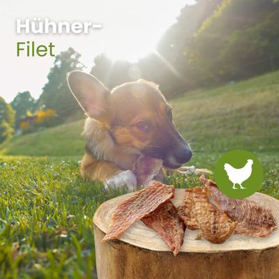 Kauartikel.com Hühner-Filet - Hühnerbrustfilet