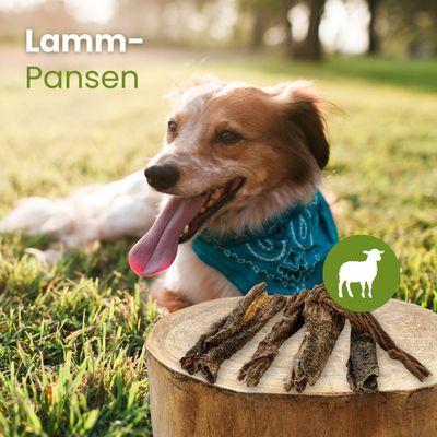 Kauartikel.com Lamm-Pansen