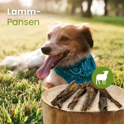Kauartikel.com Lamm-Pansen