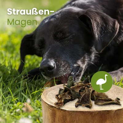 Kauartikel.com Straußen-Magen