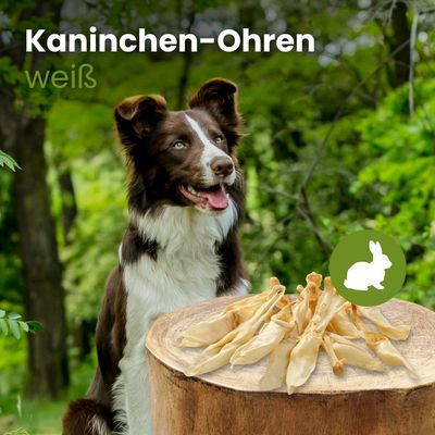 Kauartikel.com Kaninchen-Ohren, weiß