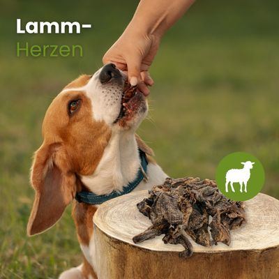 Kauartikel.com Lamm-Herzen