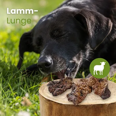 Kauartikel.com Lamm-Lunge