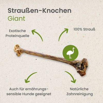 Kauartikel.com Straußen-Knochen, Giant