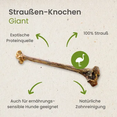 Kauartikel.com Straußen-Knochen, Giant