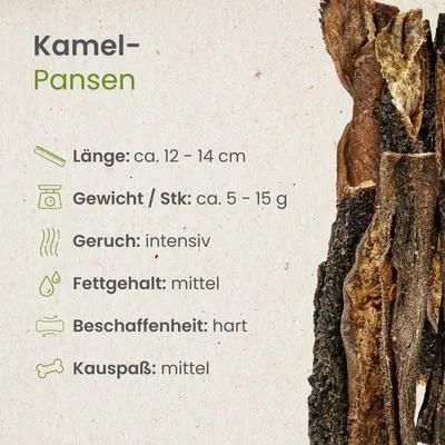 Kauartikel.com Kamel-Pansen