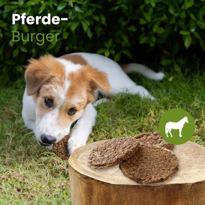 Kauartikel.com Pferde-Burger