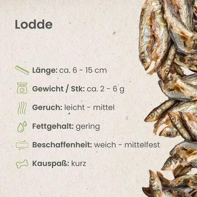 Kauartikel.com Lodde Kauartikel.com Lodde