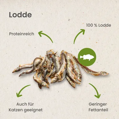 Kauartikel.com Lodde