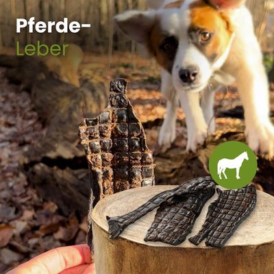 Kauartikel.com Pferde-Leber