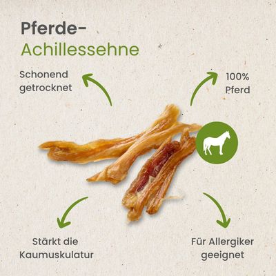 Kauartikel.com Pferde-Achillessehne