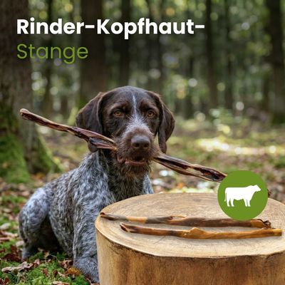Kauartikel.com Rinder-Kopfhaut-Stange