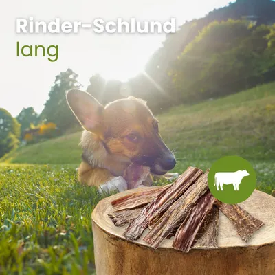 Kauartikel.com Rinder-Schlund, lang Kauartikel.com Rinder-Schlund, lang