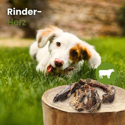 Kauartikel.com Rinder-Herz