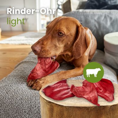 Kauartikel.com Rinder-Ohren, light
