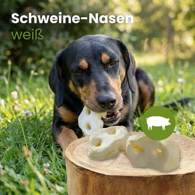 Kauartikel.com Schweine-Nasen, weiß