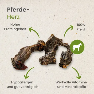 Kauartikel.com Pferde-Herz